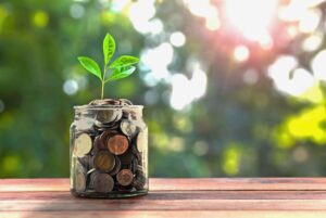 A jar with coins and a plant growing out of it.